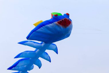 Uçuyor mavi uçurtma