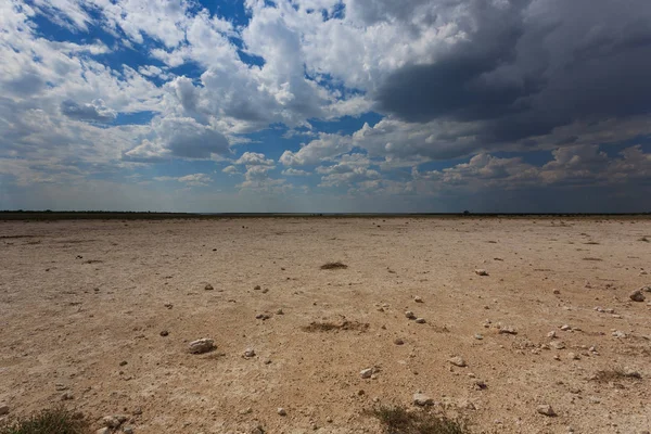 Etosha panorama, Namibia — Stock Photo, Image