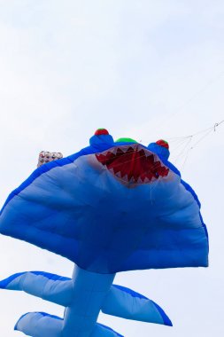 Uçuyor mavi uçurtma