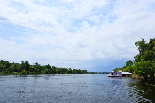 Amazonas Nehri boyunca evleri. Brezilyalı panorama