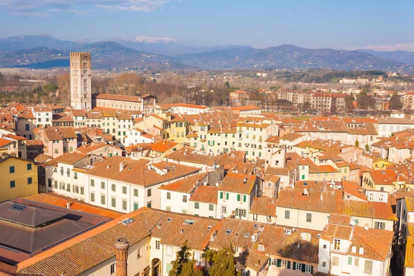 Vista Lucca da Torre Guinigi . — Fotografia de Stock