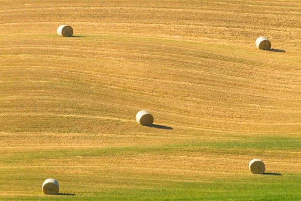 Hügellandschaft Toskana, Italien — Stockfoto