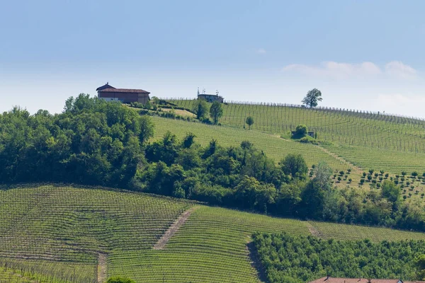 Paysage avec vignobles de Langhe, agriculture italienne — Photo