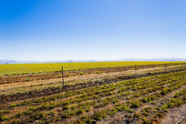 Güney Afrika, ejderhanın dağlar manzara