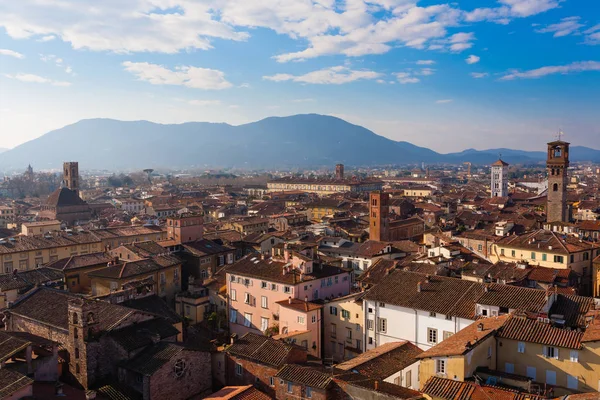 Lucca görünümü Guinigi Tower.