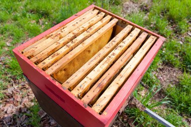 Açık kovan, arıcılık