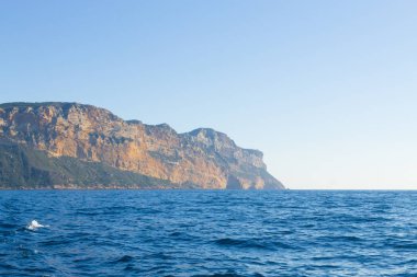 Deniz, Frangı görünümünden Canaille kap