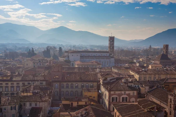Vista Lucca da Torre Guinigi . — Fotografia de Stock