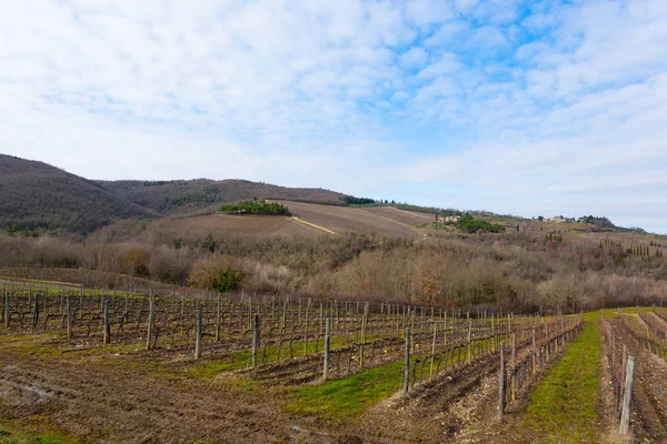 Rzędy winnic z Toskanii hills — Zdjęcie stockowe