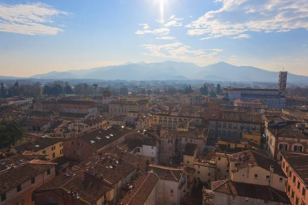 Lucca uitzicht vanaf Guinigi Tower. — Stockfoto