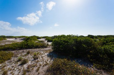 Beyaz kum tepeleri panorama Lencois Maranhenses Milli Parkı '