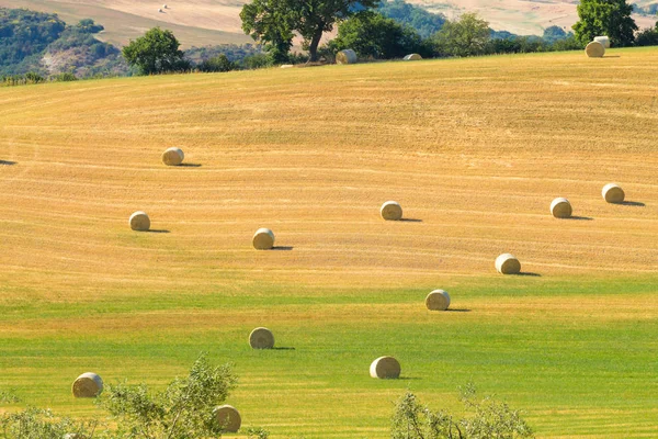 Paysage des collines de Toscane, Italie — Photo