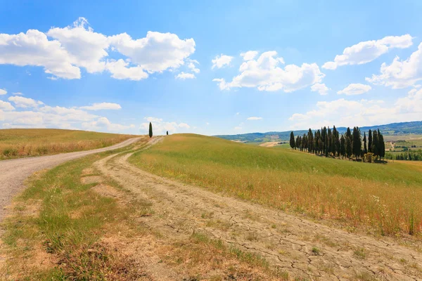 Tuscany hills landscape, Italy Royalty Free Stock Images