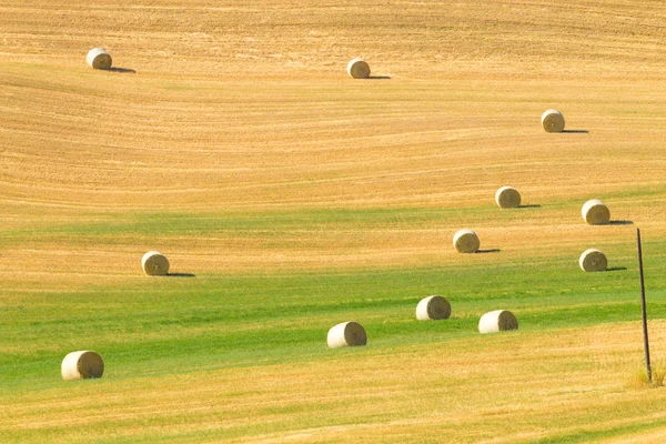 Toskana tepeleri manzarası, İtalya — Stok fotoğraf