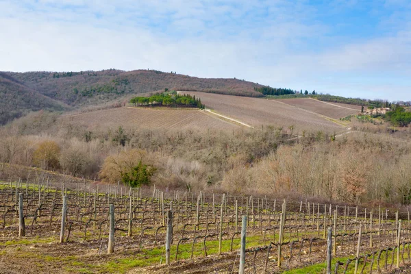 Rzędy winnic z Toskanii hills — Zdjęcie stockowe