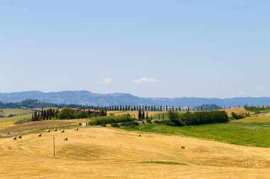 Toskana tepeleri manzarası, İtalya
