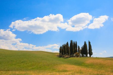 Val d'Orcia selvi görünümü