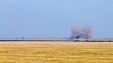 Po Nehri Lagoon kırsal İtalyan peyzaj.
