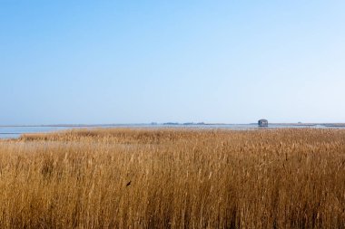 Eski terk edilmiş depo