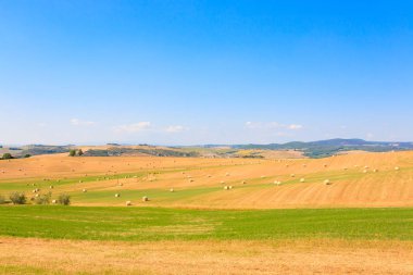 Toskana tepeleri manzarası, İtalya
