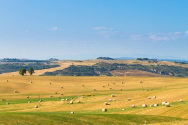 Toskana tepeleri manzarası, İtalya