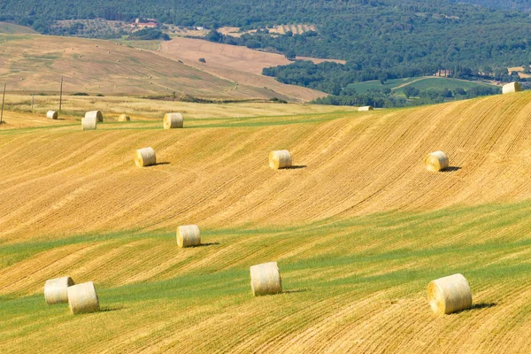 Toskana tepeleri manzarası, İtalya — Stok fotoğraf