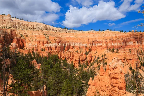 Panorama del Parque Nacional Bryce Canyon, Estados Unidos — Foto de Stock