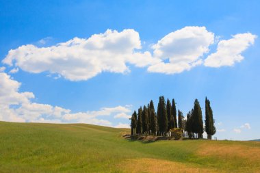 Val D'Orcia, İtalya - 06 Haziran 2017: Val d'Orcia selvi, Chianti, Tuscany görüntülemek.