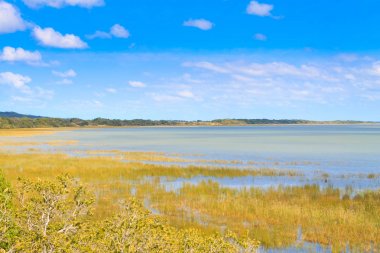 Isimangaliso Sulak alan Park peyzaj, Güney Afrika. Güzellikler Afrika. Safari ve açık