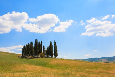 Val d'Orcia selvi görünümü