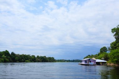 Amazonas Nehri boyunca evleri. Brezilyalı panorama