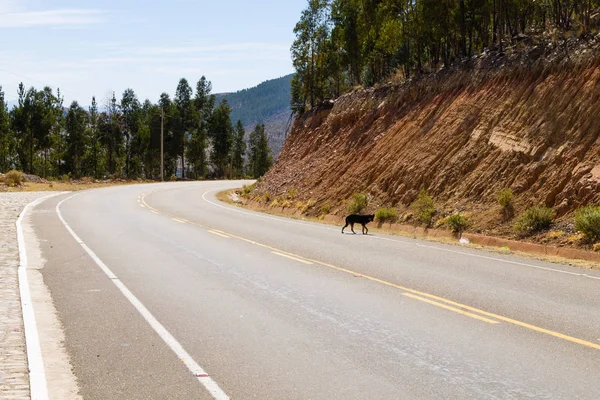 Bolivian road from Tarabuco to Sucre — Stock Photo, Image