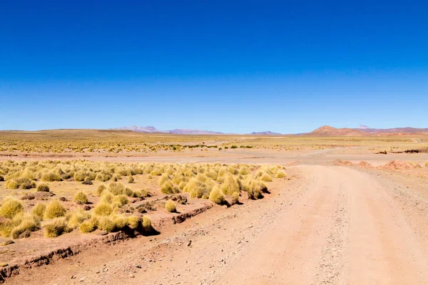 Vista del camino de tierra boliviano, Bolivia —  Fotos de Stock