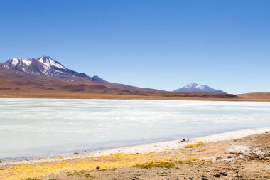 Laguna Hedionda view, Bolivia