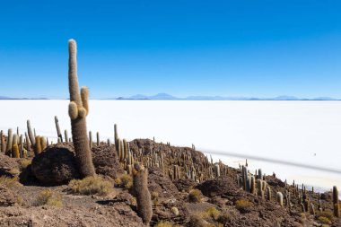 Salar de Uyuni view from Isla Incahuasi