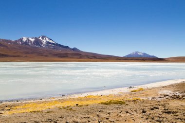Laguna Hedionda view, Bolivia