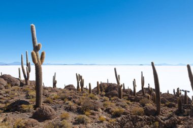 Salar de Uyuni view from Isla Incahuasi