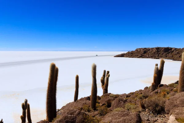 Salar de Uyuni vista desde Isla Incahuasi — Foto de Stock