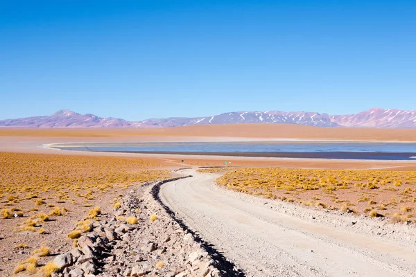 Vista a la laguna boliviana, Bolivia — Foto de Stock