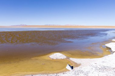Bolivya lagoon view, Bolivya