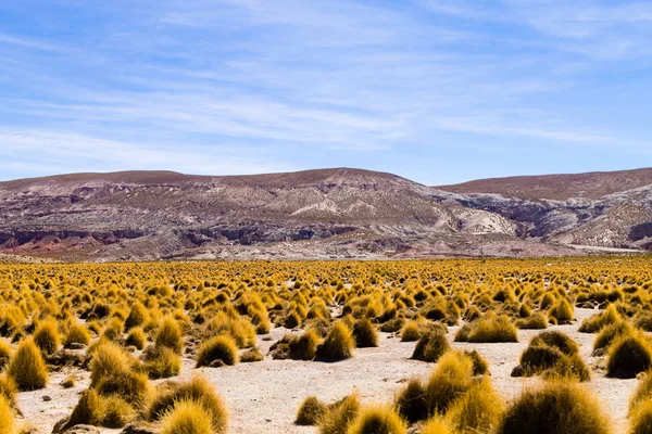 Montañas bolivianas paisaje, Bolivia —  Fotos de Stock