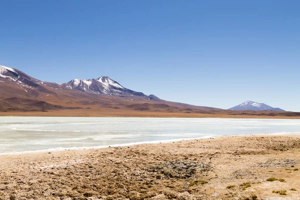 Laguna Hedionda view, Bolivia — Stock Photo, Image