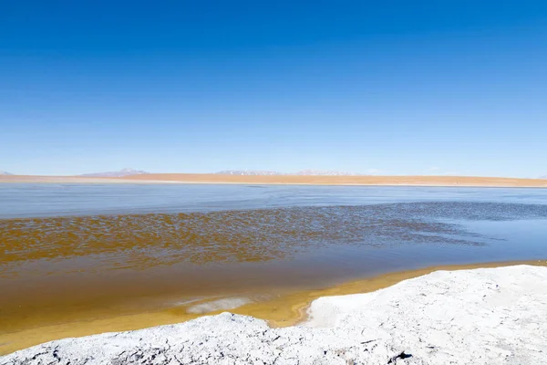 Vista a la laguna boliviana, Bolivia — Foto de Stock