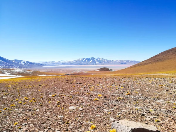 Laguna Colorada vista, Bolívia. Paisagem boliviana — Fotografia de Stock