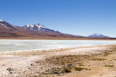 Laguna Hedionda view, Bolivia
