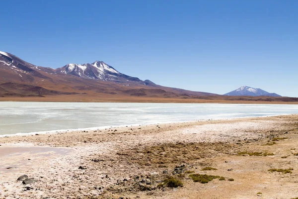 Laguna Hedionda view, Bolivia — Stok fotoğraf