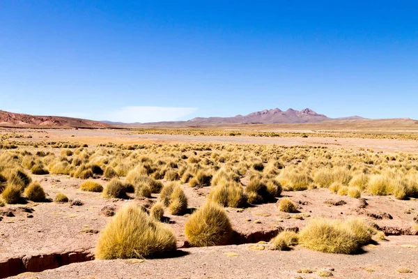 Montañas bolivianas paisaje, Bolivia — Foto de Stock
