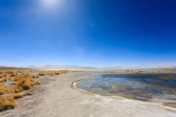 Paisaje laguna boliviana, Bolivia — Foto de Stock