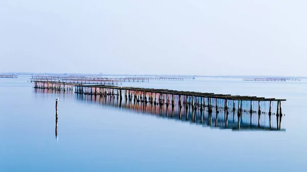 Cría de moluscos en la laguna del río Po, Italia — Foto de Stock