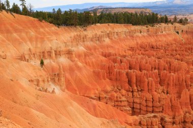 Panorama: Bryce Canyon Milli Parkı, Usa